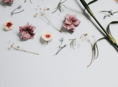 Fleurs pour parfum
